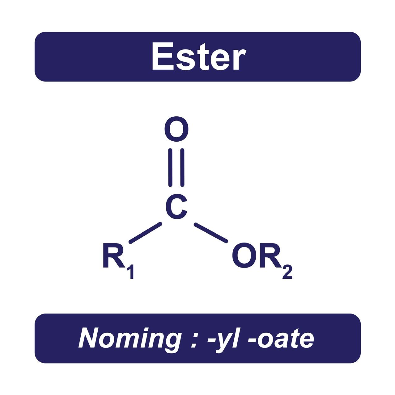 Esters - 88tuition