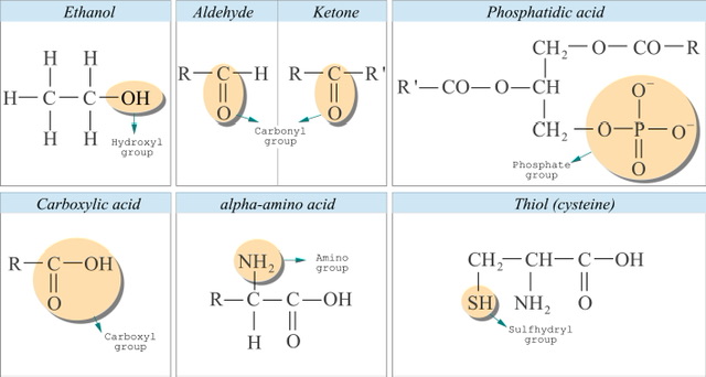 Carboxylic Acids | Uses of carboxylic acid - 88tuition