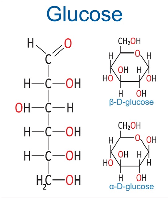 Fischer Projections Of Monosaccharides -88tuition