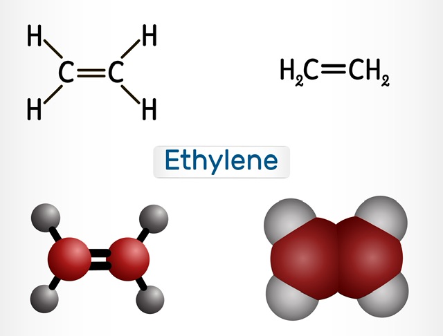 Ethylene Polymerization | Types Of Polymerization - 88tuition