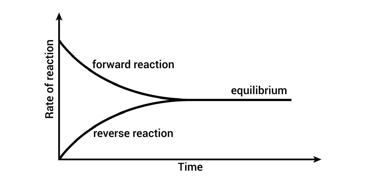 Equilibrium | Types of equilibrium - 88tuition