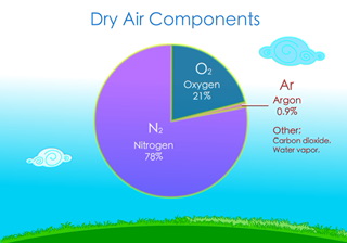 Components Of Air - 88tuition