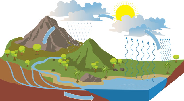 Water Cycle | Steps of the Water Cycle - 88tuition